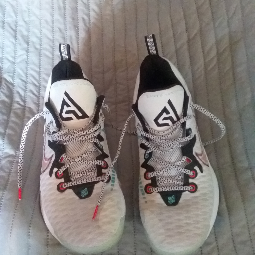 Nike Giannis Immortality GS Forcefield shoe's.